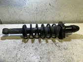 Stoßdämpfer hinten