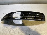 Front fog light trim/grill
