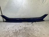 Tailgate handle with camera