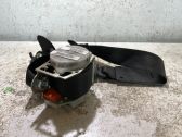 Cinturón trasero
