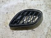 Front bumper lower grill