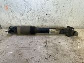 Rear shock absorber/damper
