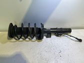 Front shock absorber/damper