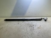 Tailgate/trunk strut/damper