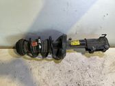 Front shock absorber/damper