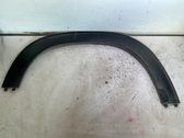 Fender trim (molding)