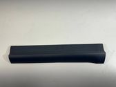 Rear door trim (molding)