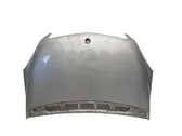 Engine bonnet/hood