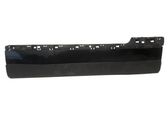 Front door trim (molding)