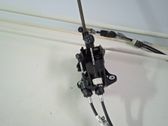 Palanca/selector de cambios
