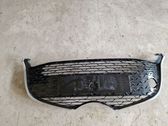 Front bumper upper radiator grill