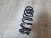 Rear coil spring