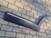 Rear door trim (molding)