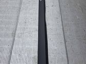 Front door trim (molding)
