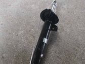 Front shock absorber/damper