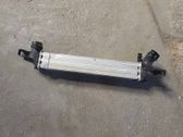 Intercooler radiator
