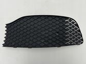 Grille inférieure de pare-chocs avant
