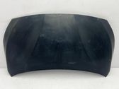Motorhaube
