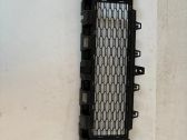 Front bumper lower grill