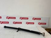 Drive shaft (set)
