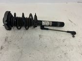 Front shock absorber/damper