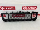 Front bumper lower grill
