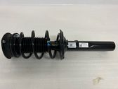 Front shock absorber with coil spring