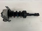 Rear shock absorber/damper