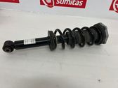 Rear shock absorber/damper