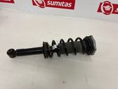 Rear shock absorber/damper