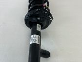 Front shock absorber with coil spring