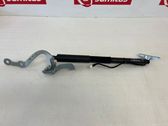 Tailgate/trunk strut/damper
