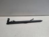 Tailgate/trunk strut/damper