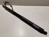Tailgate/trunk strut/damper