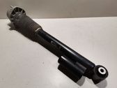 Rear shock absorber/damper