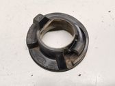 Rear coil spring rubber mount