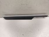 Rear door card trim