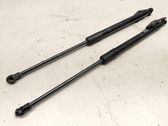 Tailgate/trunk strut/damper