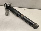 Rear shock absorber/damper