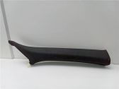 Listón embellecedor de la puerta delantera (moldura)
