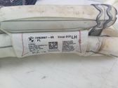 Roof airbag