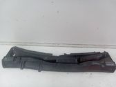 Moldura del limpia