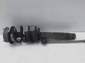Front shock absorber/damper