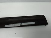 Listón embellecedor de la puerta delantera (moldura)