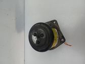 Airbag de peatón