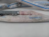 Airbag del techo