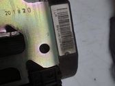 juego de cinturones de seguridad