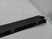 Moldura de la puerta trasera