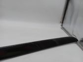 Listón embellecedor de la puerta delantera (moldura)