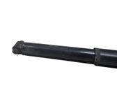 Rear shock absorber/damper